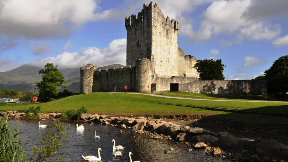 Le chateau de Killarney (Ross Castle), fondé au XVème siècle par la famille O'Donoghue